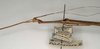CollectionObject 1559662; NMW 1008, 57411d64-82fa-4b8d-bb4a-a5465c6bede8: copyright NMW, Vienna. male: head and thorax, lateral view (holotype). (CollectionObject).