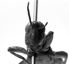CollectionObject 1567236; 0015a382-bf13-4c78-996e-5ddac45e743d: Image Carbonell, C.S. male, frontal view (syntype). (CollectionObject).