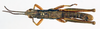 CollectionObject 1506164; a50d9ead-d8d8-42ec-90ae-b1fa5324645b: male, dorsal view (holotype). (CollectionObject).
