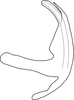 Aedeagus, lateral view on Brevivalvala melanosticta Dai, Qu & Yang, 2016: Aedeagus, lateral view. (Observation).