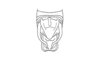 Teinophaus saussurei Bruner, 1908: Fig. 2. male abdomen tip, dorsal view. (Otu).