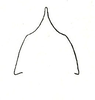 Nomotettix cristatus cristatus (Scudder, 1862): Fig. 18a. pronotum, anterior view (Nomotettix cristatus denticulatus). (Otu).