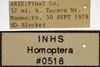 Other on Athysanella (Gladionura) libera Ball & Beamer, 1940: Labels - female. Labels for the pictures of the dorsal and lateral views. (Observation).