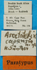 CollectionObject 1581363; 221e66ac-8590-4b76-91d8-ed26d96cf4fa: labels (paratype). (CollectionObject).