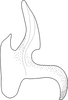 Aedeagus, lateral view on Arboridia (Arboridia) septempunctata Choe & Jung, 2015: Aedeagus, lateral view. (Observation).