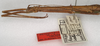 CollectionObject 1560287; 39f9c2f8-46d5-47f7-a05c-5db2c414b514: copyright OUMNH. female: head and thorax, lateral view (syntype). (CollectionObject).