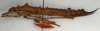 CollectionObject 1560276; 567fba17-20b2-42b0-9d24-00d552613af0: copyright NMW, Vienna. female, lateral view (syntype). (CollectionObject).;CollectionObject 1560277; 875284c2-ad15-4fdf-80c4-2dc7d83315f5: copyright NMW, Vienna. female, lateral view (syntype). (CollectionObject).