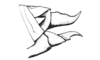 Orotettix andeanus (Bruner, 1913): Fig. 28. female abdomen tip, lateral view. (Otu).