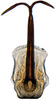 Aedeagus, ventral view: Hecalus viridis, aedeagus, caudally (INHS). (Observation).
