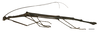 CollectionObject 1596259; c080a2c0-23b7-4f23-8529-3a7507e2a5fb: copyright NKUM Nankai. male, lateral view (paratype). (CollectionObject).