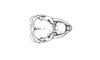 Dichroplus intermedius Ronderos, 1976: Fig. 5. male abdomen tip, dorsal view. (Otu).