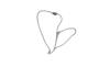 Dichromatos lilloanus (Liebermann, 1948): Fig. 9Y. epiphallus, lateral view. (Otu).