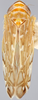 Habitus, dorsal view on Paralimnus (Paralimnus) zachvatkini Emeljanov, 1964 now Paralimnus (Paralimnus) lugens (Horváth, 1897): Holotype. (Observation).
