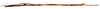 CollectionObject 1567615; 803e8e45-f31c-488d-ae30-c12de440af05: copyright Brussels. male, lateral view (paratype). (CollectionObject).;CollectionObject 1567616; acf2328f-c402-441c-b28e-e7ca43a45d1d: copyright Brussels. male, lateral view (paratype). (CollectionObject).;CollectionObject 1567617; 54e7e8da-4583-4543-a2f4-a88723df4de3: copyright Brussels. male, lateral view (paratype). (CollectionObject).