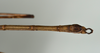 CollectionObject 1558057; d5c4f1ba-3460-4fd3-a166-fc7df23d03dd: copyright USNM, Washington. (CollectionObject).