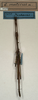CollectionObject 1559554; NMW 1073, 14c40064-44d7-4214-b917-d1aed5d6421f: copyright NMW, Vienna. male (holotype). (CollectionObject).