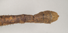 CollectionObject 1558875; NHMUK(SF IMPORT DUPLICATE) 845210, e0fca43f-b9f6-484d-b9d3-c94223e31fea: copyright Natural History Museum, London. male: end of abdomen, dorsal view of Heteropteryx grayii (paralectotype). (CollectionObject).