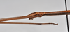 CollectionObject 1561182; ca722f59-5ae0-4d4f-8225-88a048e4085c: copyright NTUC. male: head and thorax, lateral view (syntype). (CollectionObject).;CollectionObject 1561183; 82a3663e-d3c8-40f6-994b-015a810d7a76: copyright NTUC. male: head and thorax, lateral view (syntype). (CollectionObject).