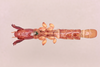 CollectionObject 1517842; c04763d2-1116-496a-9294-087c6804104b, NHMUK015982288: Cylindraustralia centricola (holotype). (CollectionObject).