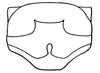 Acocksacris karruensis Dirsh, 1958: Fig. 3 (after Dirsh 1958). male meso- and metasternum. (Otu).