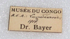 CollectionObject 1557407; 986988c8-bd6c-4d77-9865-31dcdbb0b6ea: copyright MRAC, Tervuren. female, data labels (holotype). (CollectionObject).