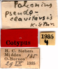 CollectionObject 1505152; f9f93b0f-4120-4e09-b8d1-62dab9c6b8ee: labels (syntype). (CollectionObject).