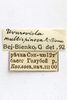 CollectionObject 1528845; adf97be6-45b3-4d97-9850-9388a478688a: labels (syntype). (CollectionObject).