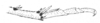 Ceuthophilus (Ceuthophilus) pallidipes Walker, 1905: Fig. 208. hind tibia spurs. (Otu).