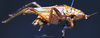 CollectionObject 1503153; 6bb3b445-2e76-4669-8f0d-43e1799151b6: male habitus lateral view (holotype). (CollectionObject).