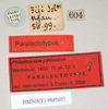 CollectionObject 1558980; 9ce04cf2-0fdf-46a7-a999-2ee5ae1f702f: copyright Natural History Museum, London. female, data labels (syntype). (CollectionObject).;CollectionObject 1558981; 1d8be626-f38d-4f0e-9cc5-abf9cf7fbfdf: copyright Natural History Museum, London. female, data labels (syntype). (CollectionObject).