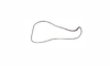 Yungasus hebardi (Liebermann, 1941): Fig. 25. male cercus, lateral view. (Otu).