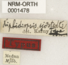CollectionObject 1529690; 0ed2cdb2-fefe-491d-9145-58e63dfeda68: labels (holotype). (CollectionObject).