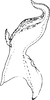 Aedeagus, lateral view on Coganoa Dworakowska, 1976: Aedeagus (C. lutescens Dwor.), lateral view. (Observation).