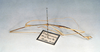 CollectionObject 1561494; e23cf2aa-6754-46ae-91e2-10f193ccc65a: copyright O. Zompro. male (holotype). (CollectionObject).