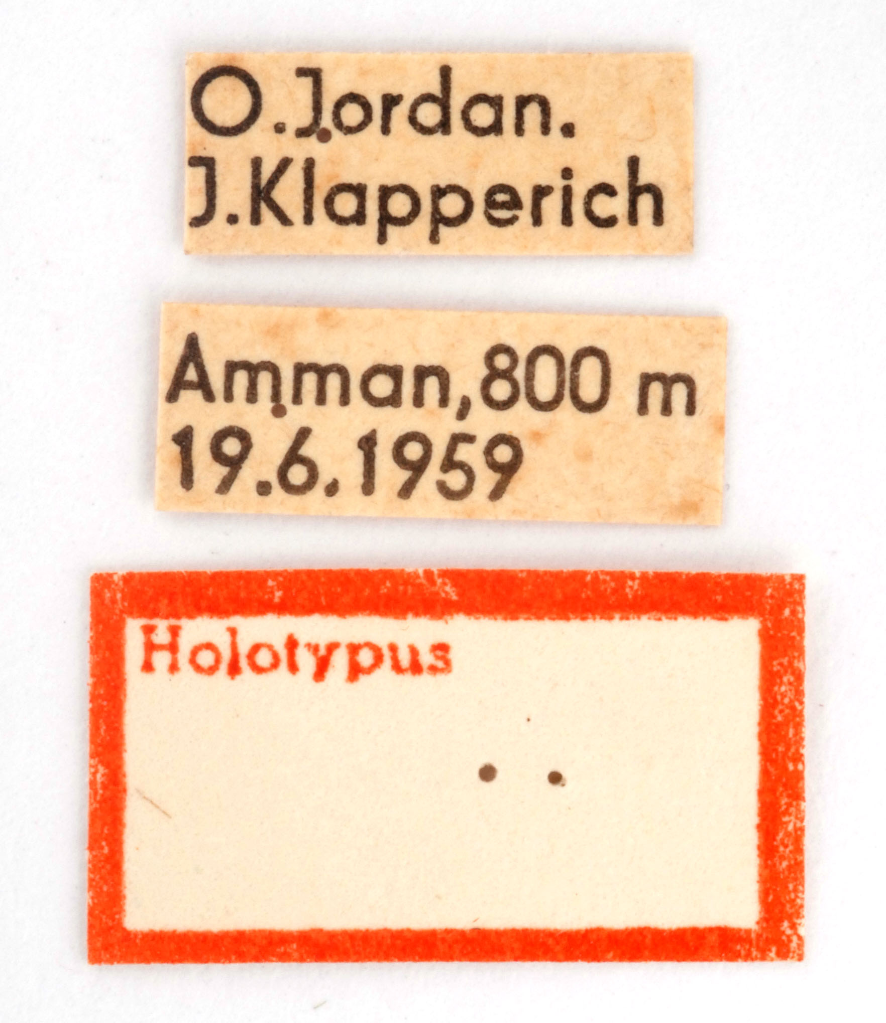 labels (holotype). Depicts CollectionObject 1476262; 036a95d1-f52f-48f8-a154-306b4cf710f5, a CollectionObject.