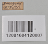 CollectionObject 1558564; 3ae685c8-f1c6-4bd0-85f7-d0b8fa72a781: copyright NTUC. (CollectionObject).;CollectionObject 1558565; b09dd22e-7f33-4771-b1d9-24d893a97422: copyright NTUC. (CollectionObject).