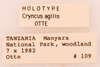 CollectionObject 1522765; dcb6ed4f-2c59-46d1-a472-dc9394a883e7: Male, labels (holotype). (CollectionObject).