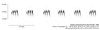 Gryllus (Gryllus) pennsylvanicus Burmeister, 1838: spectrogram, 2s of calling song at 27.4°C (from SWH-2010-01a); Illinois, Champaign Co., Aug. 2010. (Otu).