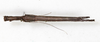 CollectionObject 1561325; NMW 212, 61f808f3-c8d6-49c6-ae8b-b0529a91759e: copyright NMW, Vienna. female, dorsal view (holotype). (CollectionObject).