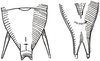 Parascopioricus lancifolius (Brunner von Wattenwyl, 1895): Fig. 182 b. male 10th tergite and tip of subgenital plate. (Otu).