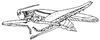 Jimenezia elegans Bolívar, 1881: male habitus. (Otu).