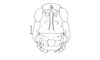 Moluchacris nigripes Cigliano, 1989: Fig. 87. female head, frontal view. (Otu).