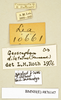 CollectionObject 1572889; 2e36566e-1f44-46eb-b5b7-4b6040ba2c66: Copyright Natural History Museum, London. Labels from non-type (adult male) in BM(NH). (CollectionObject).