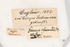 CollectionObject 2602153; 7ab24d3d-ff97-40a9-8fdf-f36ed2372122: male, labels. (CollectionObject).