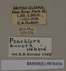 CollectionObject 1572967; 5f67139b-d34d-4f3a-be3d-b56594384d5d: Copyright Natural History Museum, London. Labels from non-type (adult male) in BM(NH). (CollectionObject).
