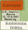 CollectionObject 1576330; 418ccefb-45fd-4390-a65f-14e023429f9a: labels (paratype). (CollectionObject).
