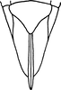 Ovipositor on Eupterella bicolorata DeLong & Ruppel, 1950: Ovipositor. (Observation).