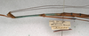 CollectionObject 1558824; 065bddb5-7bdc-4d45-a0f4-71872063bec0: copyright NMW, Vienna. male: head and thorax, lateral view (lectotype). (CollectionObject).;CollectionObject 1558825; 6b311179-4c46-4aec-a818-9724cf93b847: copyright NMW, Vienna. male: head and thorax, lateral view (syntype). (CollectionObject).