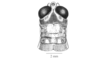 Parasitalces sexnotata Bruner, 1911: Fig. 7B. head and pronotum, dorsal view. (Otu).