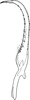 Stylus on Edwardsiana soror (Linnavuori, 1950): Stylus. (Observation).